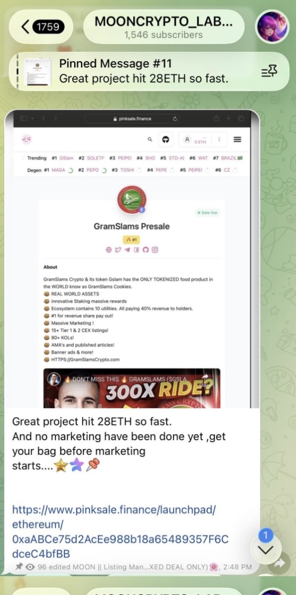 Documented campaign evidence: Presale Campaign